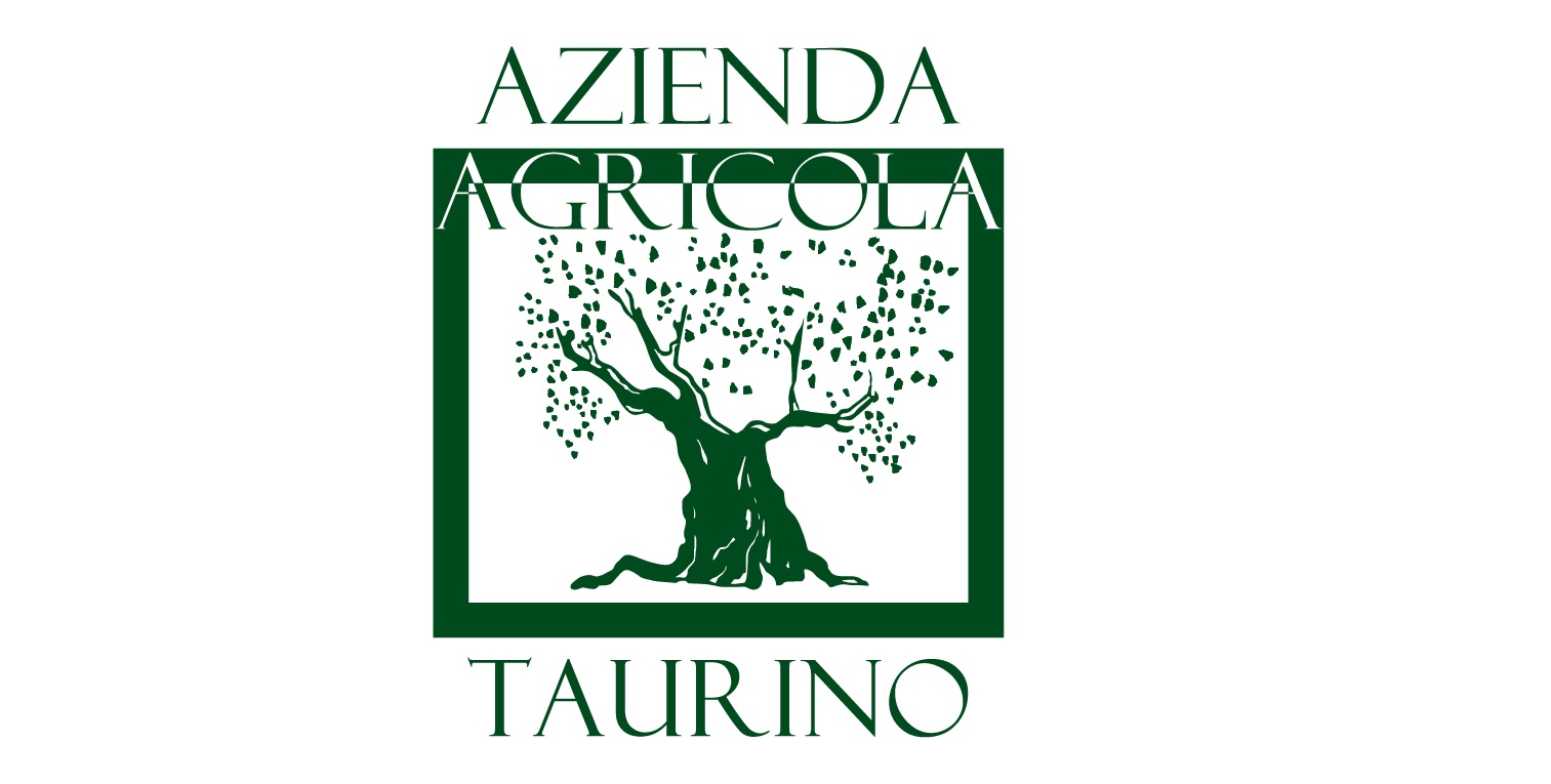 taurino 1